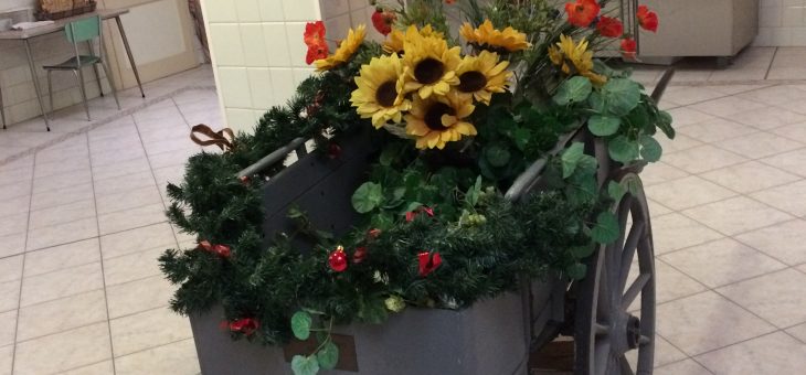 8 Gennaio: elezione del Nuovo Governo della Provincia Italiana  “Sacra Famiglia”