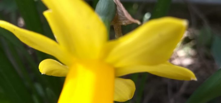 Primavera in arrivo!